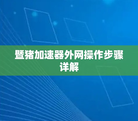 暨猪加速器外网操作步骤详解