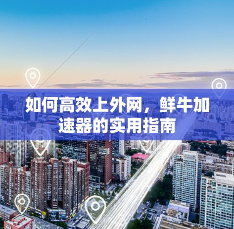 如何高效上外网，鲜牛加速器的实用指南