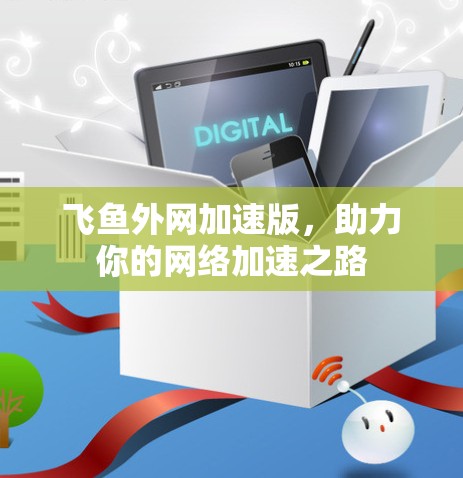 飞鱼外网加速版，助力你的网络加速之路