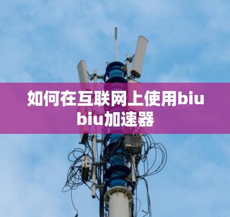 如何在互联网上使用biubiu加速器