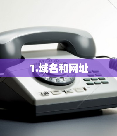 1.域名和网址