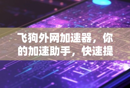 飞狗外网加速器，你的加速助手，快速提升网络速度的秘密