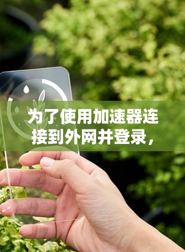 为了使用加速器连接到外网并登录，您可以按照以下步骤操作