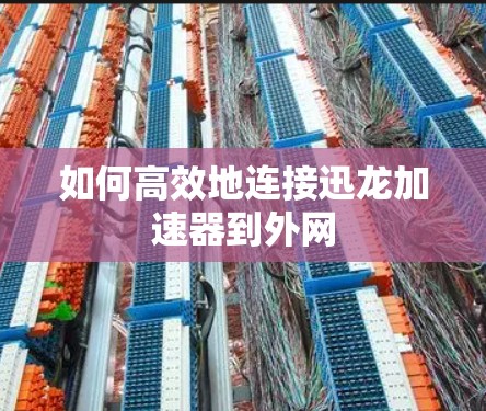如何高效地连接迅龙加速器到外网