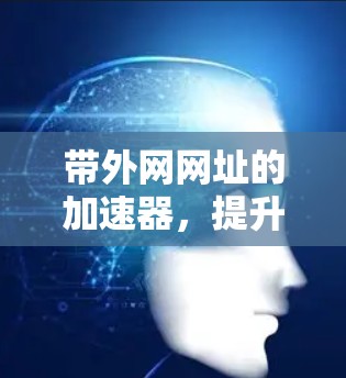 带外网网址的加速器，提升网络连接效率的高效解决方案