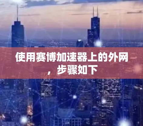 使用赛博加速器上的外网，步骤如下