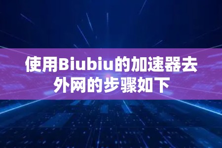使用Biubiu的加速器去外网的步骤如下