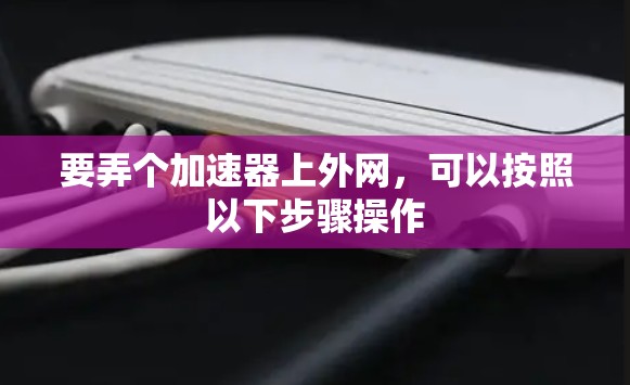 要弄个加速器上外网，可以按照以下步骤操作