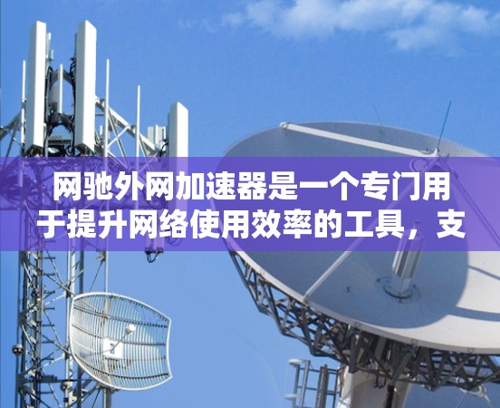 网驰外网加速器是一个专门用于提升网络使用效率的工具，支持多种网络类型。以下是详细的使用步骤和注意事项