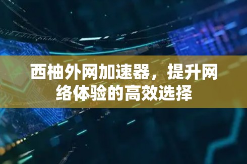 西柚外网加速器，提升网络体验的高效选择