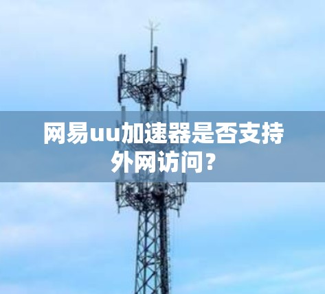 网易uu加速器是否支持外网访问？