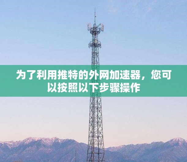 为了利用推特的外网加速器，您可以按照以下步骤操作