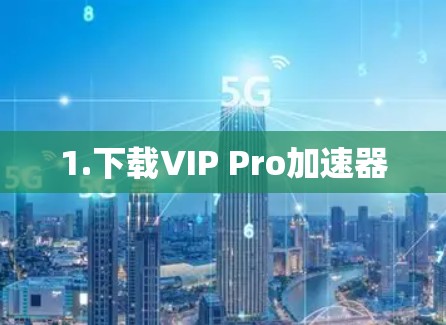 1.下载VIP Pro加速器