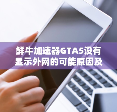 鲜牛加速器GTA5没有显示外网的可能原因及解决方案