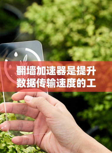 翻墙加速器是提升数据传输速度的工具，适用于不同用户的需求和场景。以下是选择翻墙加速器的建议