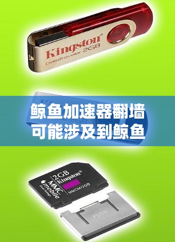 鲸鱼加速器翻墙可能涉及到鲸鱼网络（鲸鱼网络）的加速技术，或者是某种技术实现，比如在云加速应用中，实现网络隔离或翻墙效果。以下是对该问题的详细分析和解答