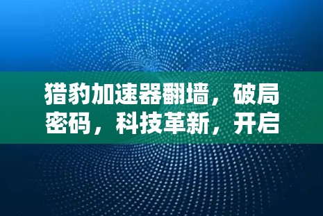 猎豹加速器翻墙，破局密码，科技革新，开启效率之光