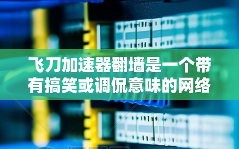 飞刀加速器翻墙是一个带有搞笑或调侃意味的网络标题，可能在特定的科技或文化语境中使用。以下是对这一标题可能含义的分析