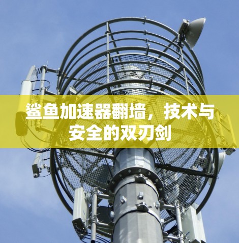 鲨鱼加速器翻墙，技术与安全的双刃剑