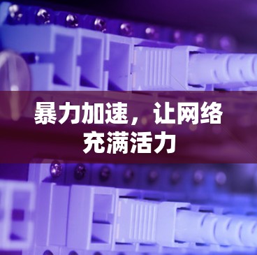 暴力加速，让网络充满活力