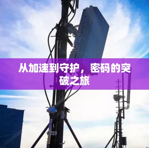 从加速到守护，密码的突破之旅