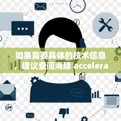 如果需要具体的技术信息，建议查阅海豚 accelerateer 的官方文档或联系其开发者获取更多信息