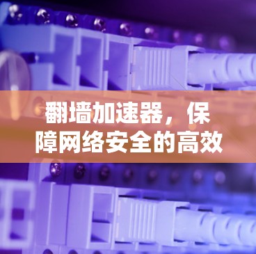 翻墙加速器，保障网络安全的高效解决方案