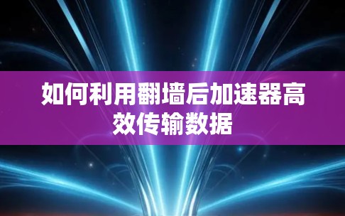 如何利用翻墙后加速器高效传输数据