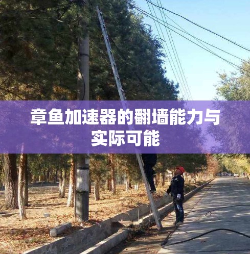 章鱼加速器的翻墙能力与实际可能