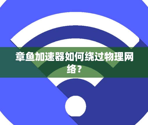 章鱼加速器如何绕过物理网络？