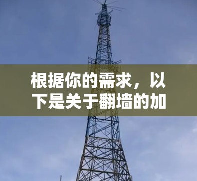 根据你的需求，以下是关于翻墙的加速器推荐和使用指南