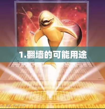 1.翻墙的可能用途