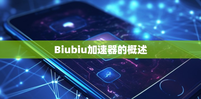 Biubiu加速器的概述