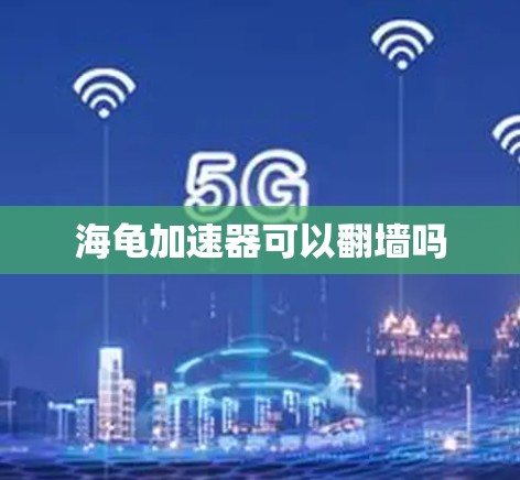 海龟加速器可以翻墙吗