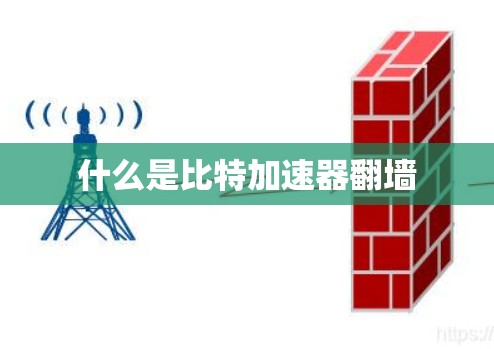 什么是比特加速器翻墙