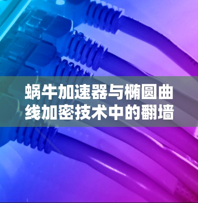 蜗牛加速器与椭圆曲线加密技术中的翻墙问题