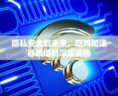 隐私安全的未来，吃鸡加速器翻墙的深层威胁