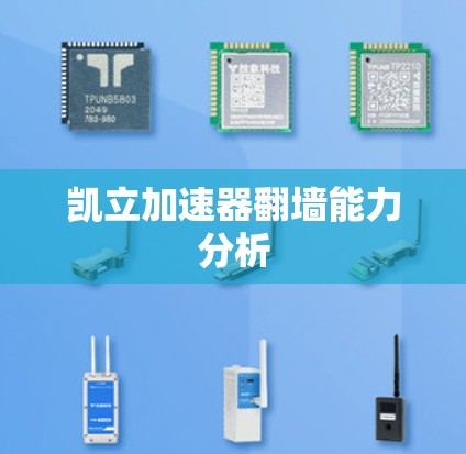 凯立加速器翻墙能力分析