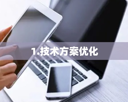 1.技术方案优化