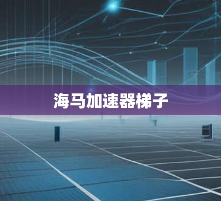 海马加速器梯子