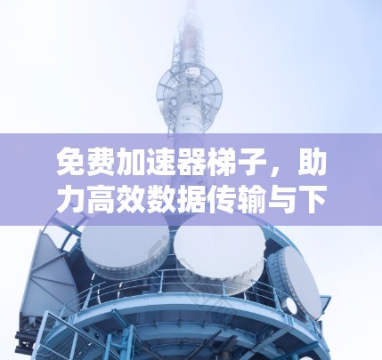 免费加速器梯子，助力高效数据传输与下载