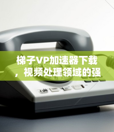 梯子VP加速器下载，视频处理领域的强大工具