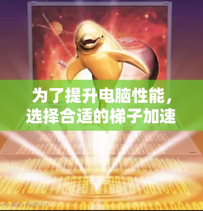 为了提升电脑性能，选择合适的梯子加速器是一个明智的选择。以下是一步步的指南，帮助你找到适合自己的加速器