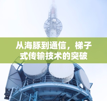 从海豚到通信，梯子式传输技术的突破