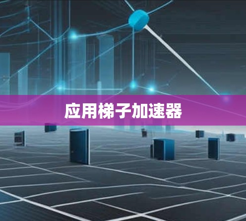 应用梯子加速器