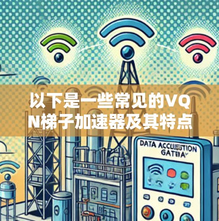 以下是一些常见的VQN梯子加速器及其特点