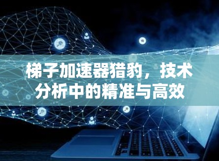 梯子加速器猎豹，技术分析中的精准与高效