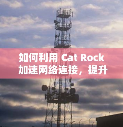 如何利用 Cat Rock 加速网络连接，提升 Your 沉浸式体验