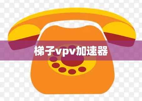 梯子vpv加速器