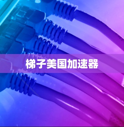 梯子美国加速器